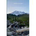 Transcendent Light a collection of feelings that transpired through healing