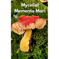 Mycelial Memento Mori