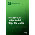 Perspectives on Bacterial Flagellar Motor