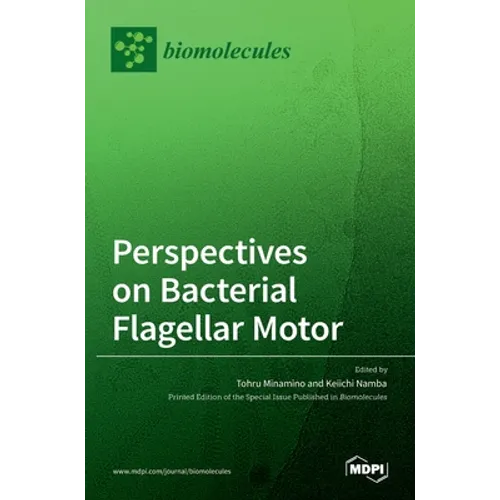 Perspectives on Bacterial Flagellar Motor