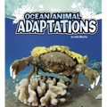 Ocean Animal Adaptations