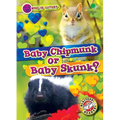 Baby Chipmunk or Baby Skunk?