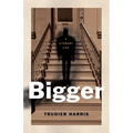 Bigger: A Literary Life