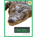 Crocodile