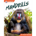 Mandrills