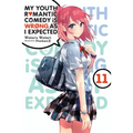 My Youth Romantic Comedy Is Wrong, as I Expected, Vol. 11 (Light Novel): Volume 11