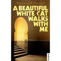 A Beautiful White Cat Walks with Me