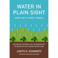 Water in Plain Sight: Hope for a Thirsty World
