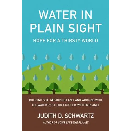Water in Plain Sight: Hope for a Thirsty World