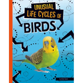 Unusual Life Cycles of Birds
