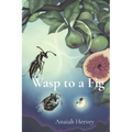 Wasp to a Fig