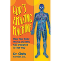 God's Amazing Machine: How Your Body Works and Why God Designed it That Way