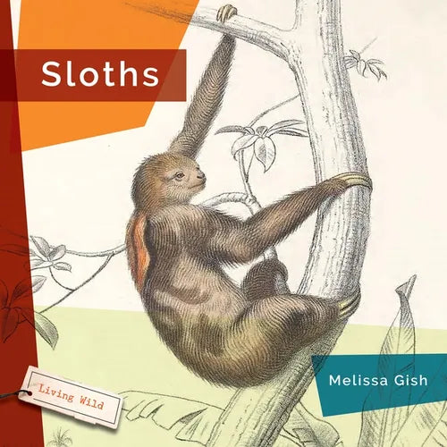 Sloths - Hardcover