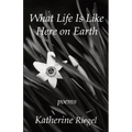 What Life Is Like Here on Earth
