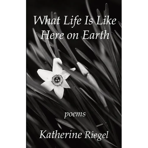 What Life Is Like Here on Earth