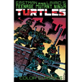 Teenage Mutant Ninja Turtles Color Classics, Vol. 1