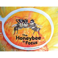 The Honeybee in Focus