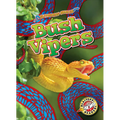 Bush Vipers