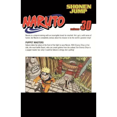 Naruto, Vol. 30: Puppet Masters