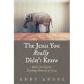 The Jesus You Really Didn't Know: Rediscovering the Teaching Ministry of Jesus