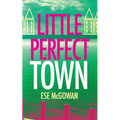 Little Perfect Town