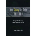 When Slavery Was Called Freedom: Evangelicalism, Proslavery, and the Causes of the Civil War