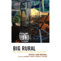 Big Rural: Rural Industrial Places, Democracy, and What Next