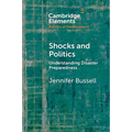 Shocks and Politics
