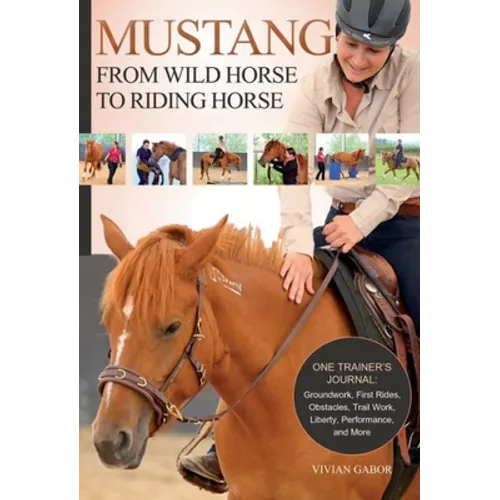 Mustang: From Wild Horse to Riding Horse