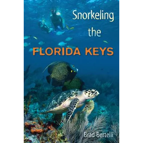 Snorkeling the Florida Keys
