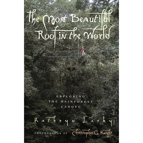 The Most Beautiful Roof in the World: Exploring the Rainforest Canopy