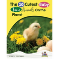Baby Farm Animals Booklet With Activities for Kids ages 4-8