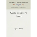 Guide to Eastern Ferns