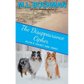 The Disappearance Cipher: a coming of age romantic suspense