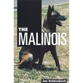 The Malinois