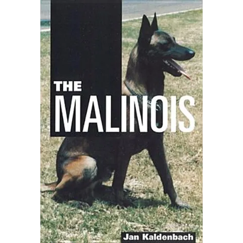 The Malinois