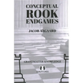 Conceptual Rook Endgames