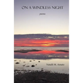 On a Windless Night