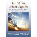 Until We Meet Again: An afterlife journey - Part 3
