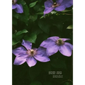 Autumn, Again; Spring, Anew: A Poem
