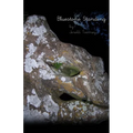 Bluestone Standing