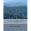 Cemeteries of Southampton Township, Bedford County, Pennsylvania
