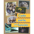 Cada Parte, Una Función