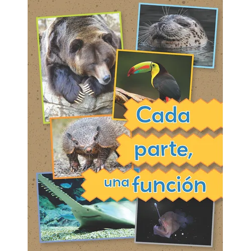 Cada Parte, Una Función