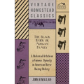 The Black Hawk or Morgan Family - A Historical Article on a Famous Dynasty in American Horse Racing History