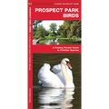 Prospect Park Birds: A Folding Pocket Guide to Familiar Species