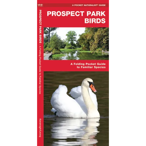 Prospect Park Birds: A Folding Pocket Guide to Familiar Species
