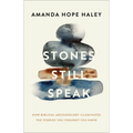 Stones Still Speak: How Biblical Archaeology Illuminates the Stories You Thought You Knew