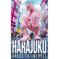 Harajuku Dress to Impress: A Vibrant Journey Through Tokyo's Street Fashion and Style Inspirations