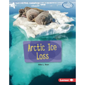 Arctic Ice Loss